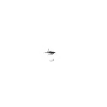 Pilot photo