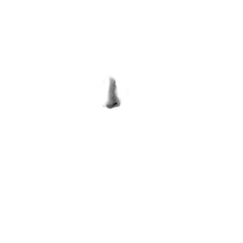 Pilot photo