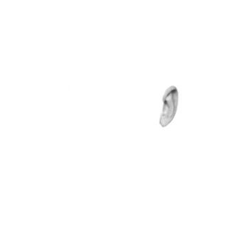 Pilot photo