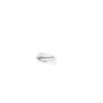 Pilot photo