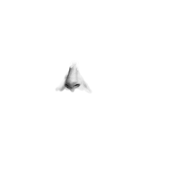 Pilot photo