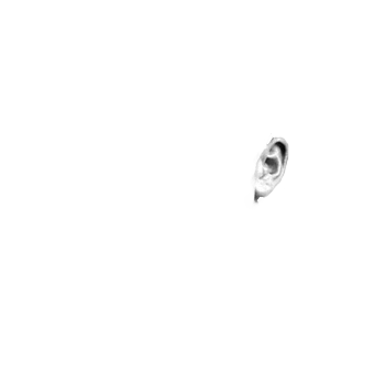 Pilot photo